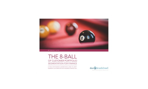 The 8-Ball of Customer Portfolio Segmentation for Finance