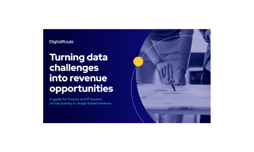 Turning data challenges into revenue opportunities