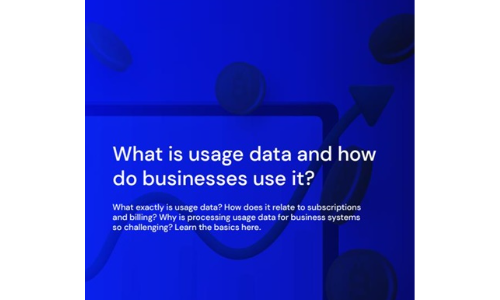 What is usage data and how do businesses use it?